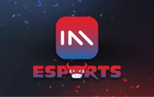 IM E_SPORT1 